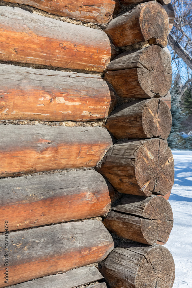 vertical view of the corner of an old log village barn vertical view of the corner of an old log village barn
