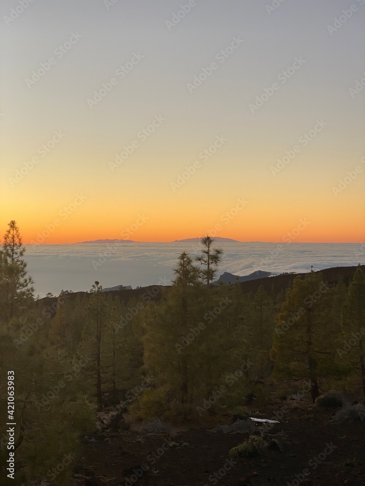 Obraz premium Atardecer Pinar