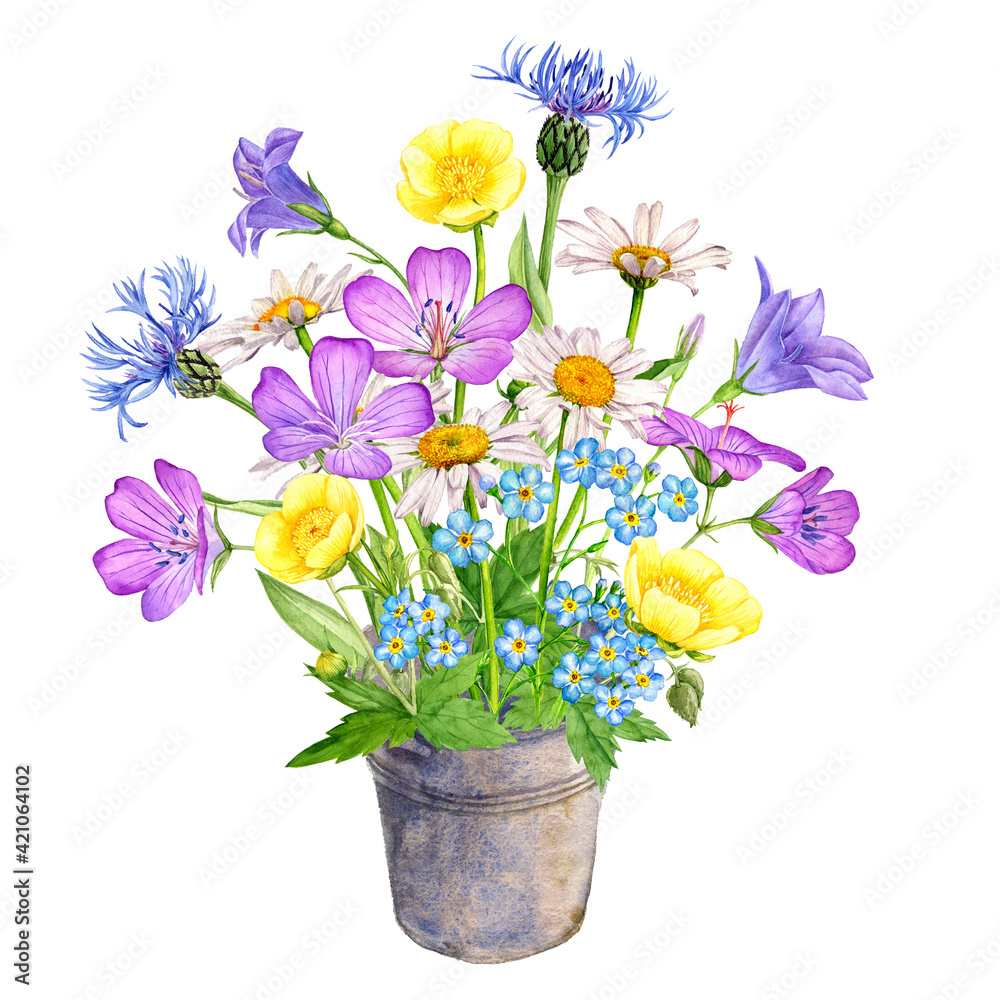 Naklejka premium watercolor drawing flowers