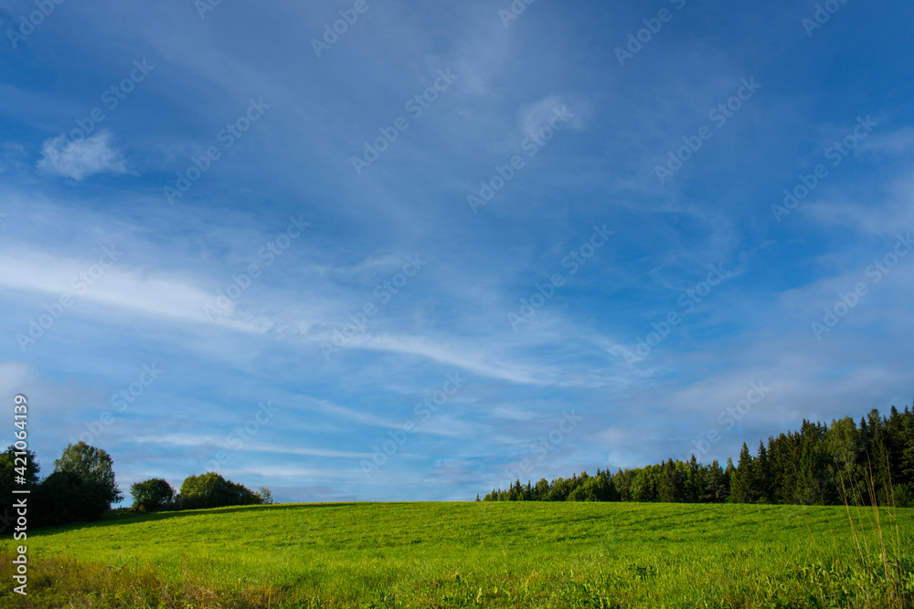 Blue sky green grass