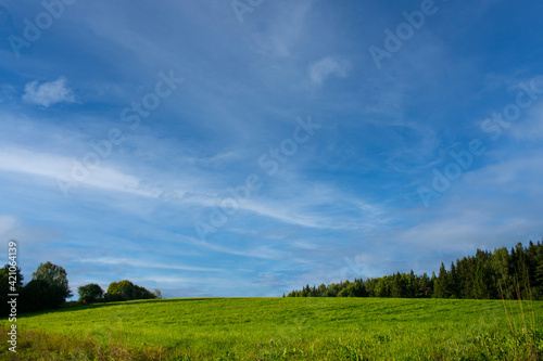 Blue sky green grass