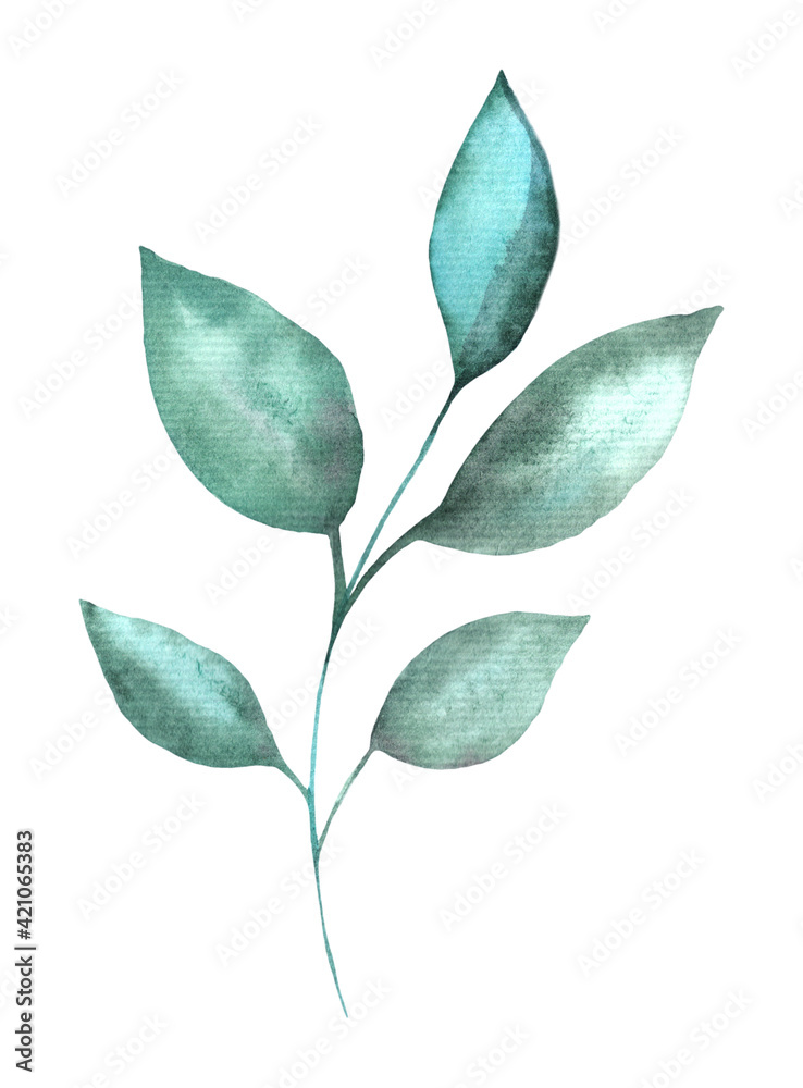 Watercolor green branch. Hand painting. Green leaves