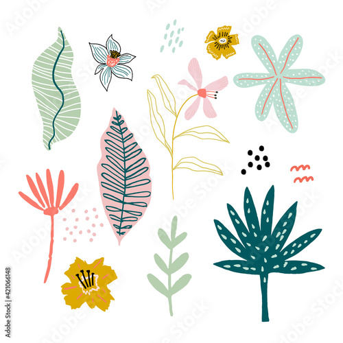 Tropical leaves jungle flat illustrations set. Jungle hand drawn clipart. Tropical foliage separate. Botanical floral collection. Vector illustration.