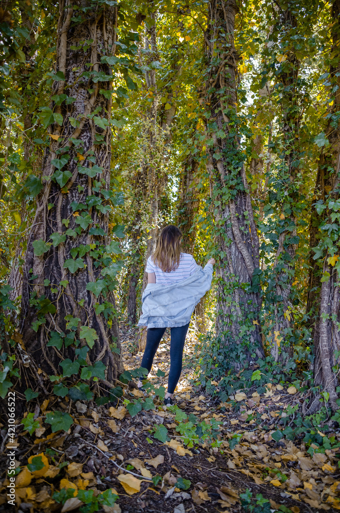 little child walking in autumn forest little child walking in autumn forest