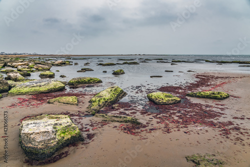 Ecological catastrophy. Drying shallow Caspian Sea photo