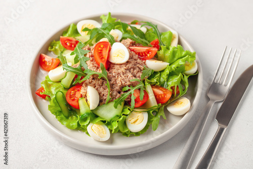 Plate of nicoise salad with tuna  boiled egg and vegetables.