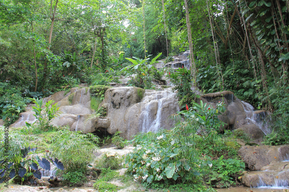 Jamaica Konoko falls park tropical jungle