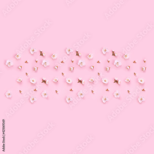 Spring nature background with white flowers on a pink background