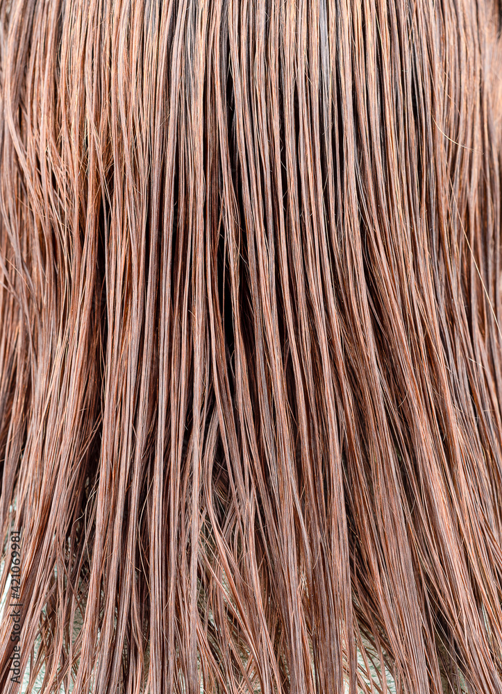 Full frame of wet female hair as background. Full frame of wet female hair as background.