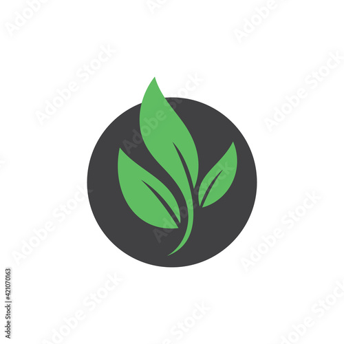 Plant and leaves icon. Leaf symbol of ecology, enviroment and nature. Vegetarian and vegan pictogram design.