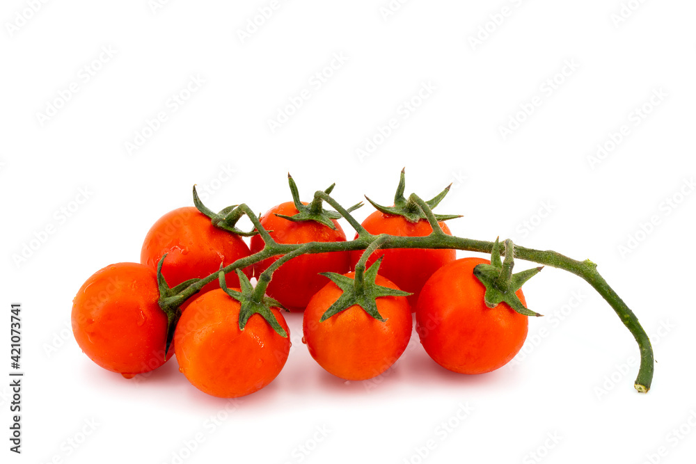 sicilian tomatoes