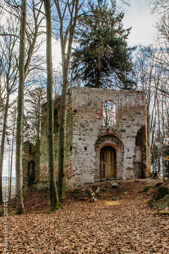 Ruins of Chapel of Saint Mary Magdalene on the hill of Maly Blanik  central Bohemia  Czech Republic.Pilgrimage place with great spruce growing within chapel walls is called Monk.Czech nature reserve