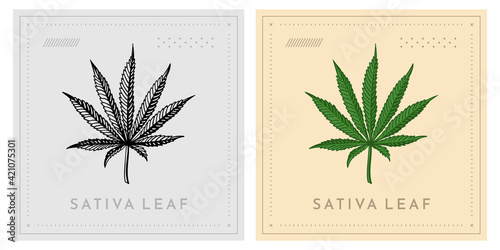 Sativa leaf retro vintage green colorful and black white illustration