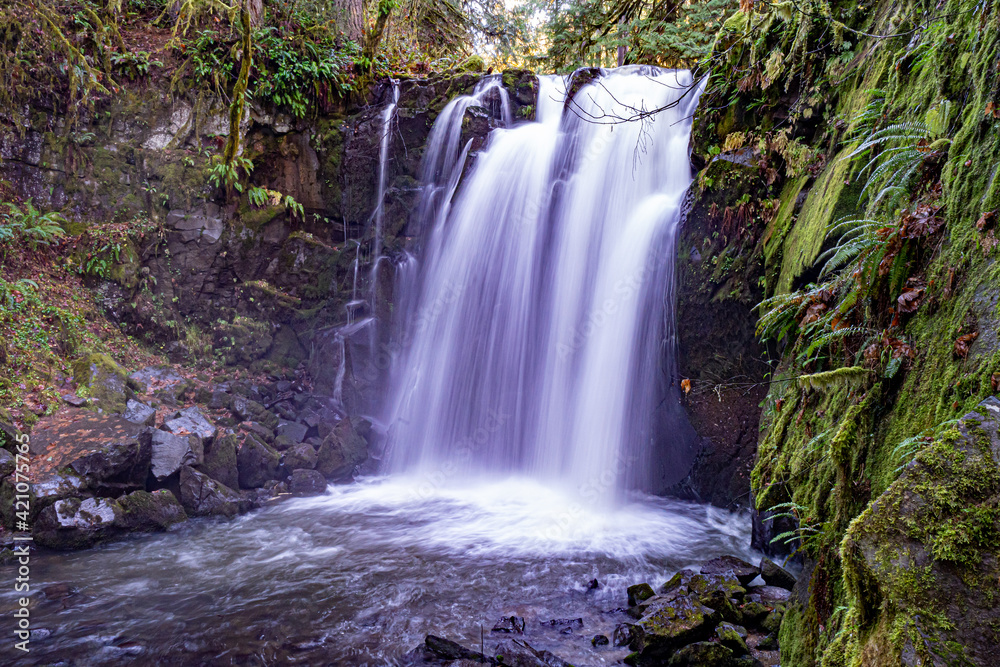 Fototapeta premium McDowell creek and Majestic Falls near Sweet Home Oregon