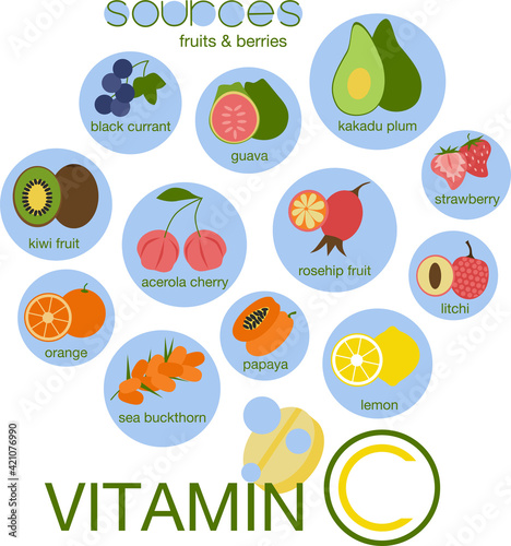 Vitamin C sources. Fruits and berries set. In fizzy drink hand drawn concept. Vector illustration. Black currant, guava, kakadu plum, acerola cherry, strawberry, kiwi, papaya, orange, rosehip, sea