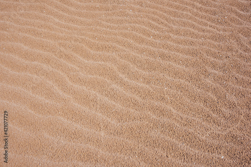 Sandy dunes in desert in sunny day