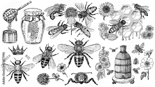 Stampa su tela Bee and Honey set
