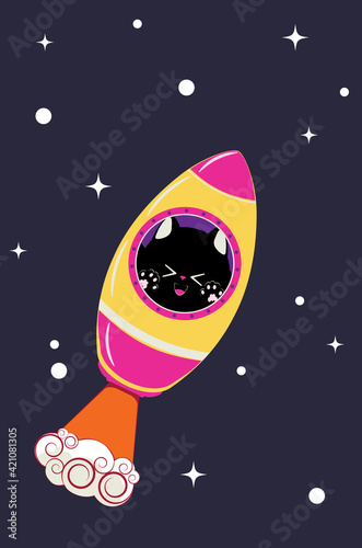 Black kitten in rocket