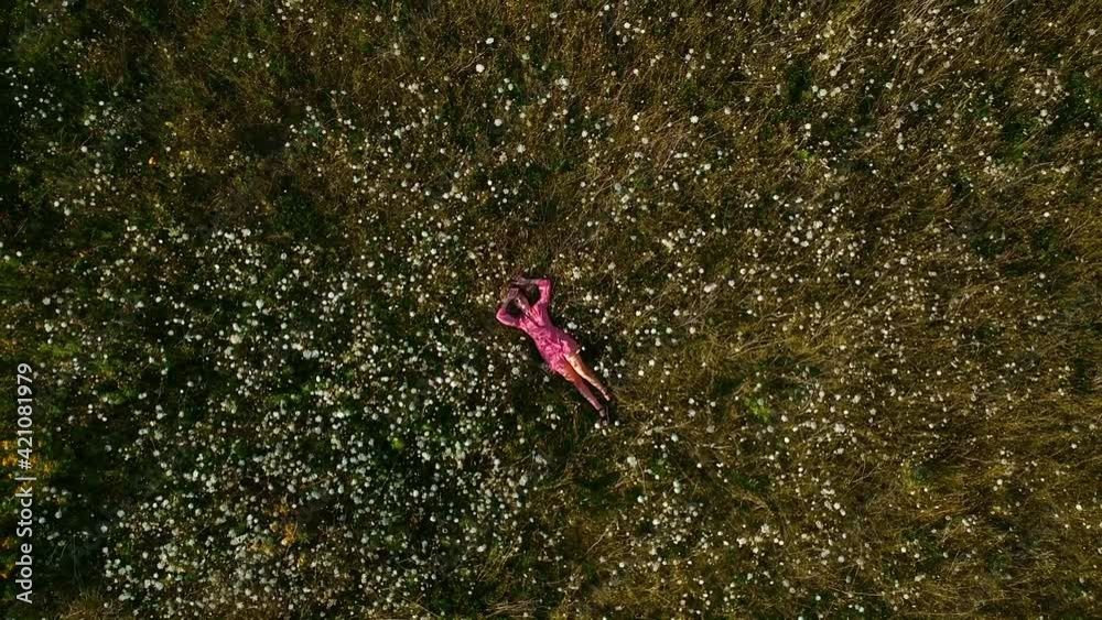 Birds eye view drone shot of a beautiful young women laying and relaxing in a flower field in the countryside of Canada. Birds eye view drone shot of a beautiful young women laying and relaxing in a flower field in the countryside of Canada.