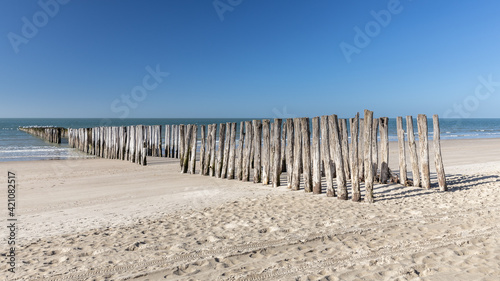 Rows of breakwaters or groynes on sandy beach disappearing in the North Sea in Zeeland, the Netherlands
