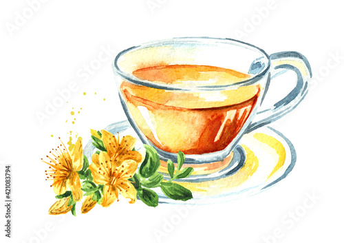 Cup of herbal tea with bunch of fresh St. John’s wort or Hypericum perforatum plant. Watercolor hand drawn illustration, isolated on white background