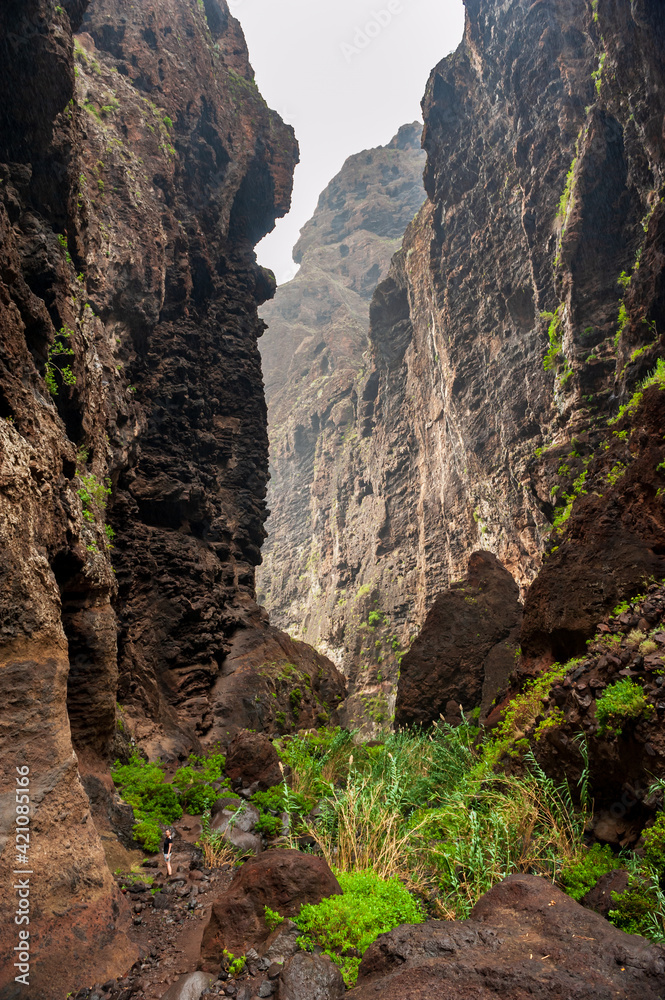 Young woman hiker with backpack from behind standing on path to canyon. Hiking woman in the canyon. Masca valley, Masca village, Tenerife, Gorge Masca, Canary Islands, Spain. Active vacation concept.