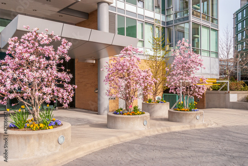 Modern Apartment Buildings with flowers and plant landscape in Vancouver, British Columbia, Canada.