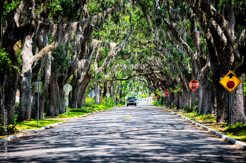 Famous Magnolia avenue street road shadows with live oak trees canopy and hanging Spanish moss in St. Augustine, Florida with car on summer sunny day