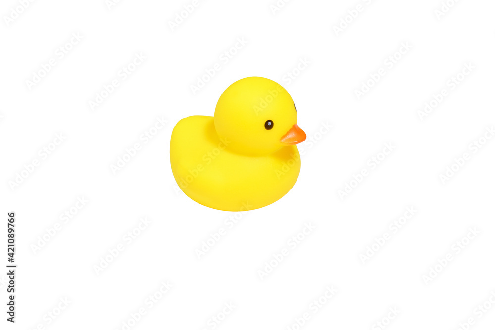 Fototapeta premium yellow rubber ducks isolated on a white background.