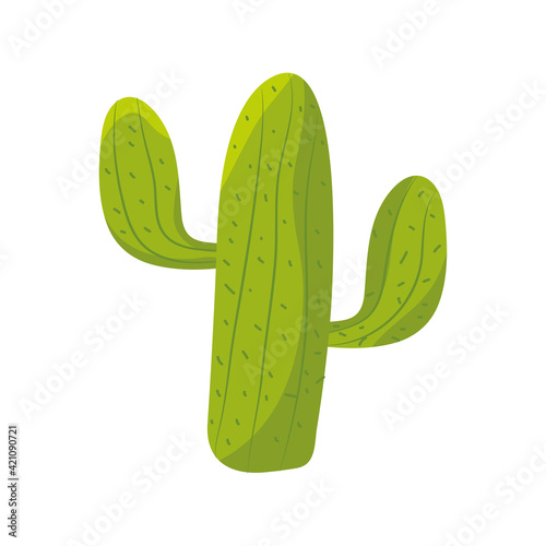 cactus dry plant