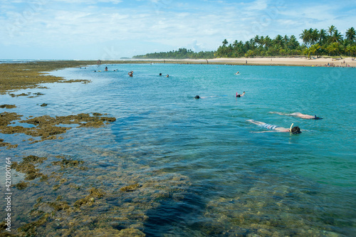 Piscinas naturais cercadas por forma    es de coral na praia de Taipu de Fora.