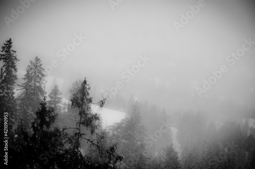 Skiabhang im Nebel © Marco Sorich