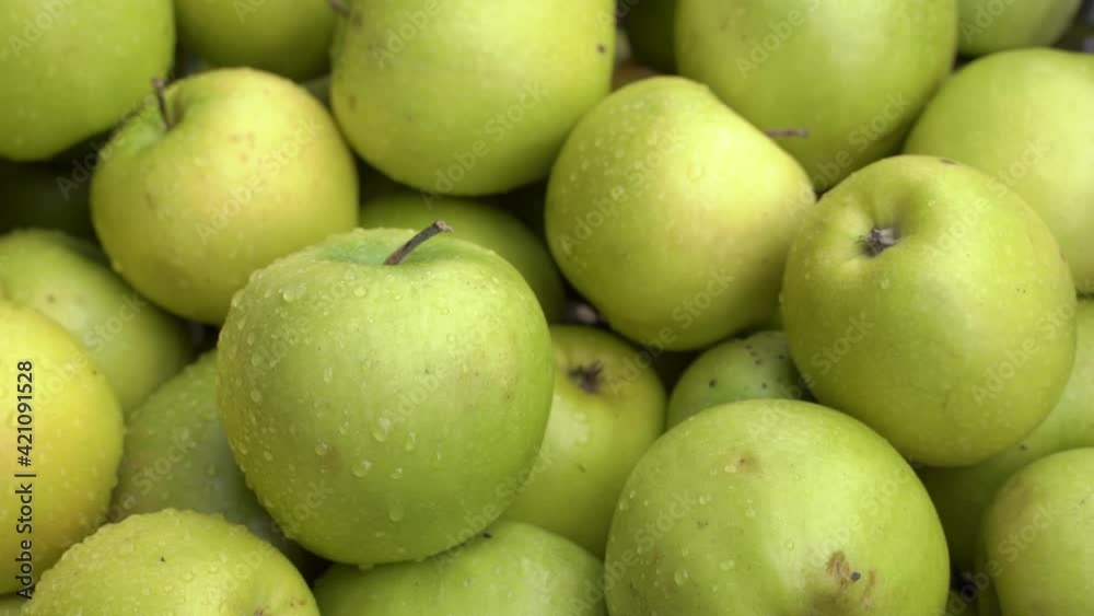 fresh green apples background. harvest of ripe fruit fresh green apples background. harvest of ripe fruit
