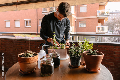 Hombre caucásico joven en la terraza de su casa cuidando sus plantas y suculentas con varias plantas encima de la mesa y material para cuidarlas 