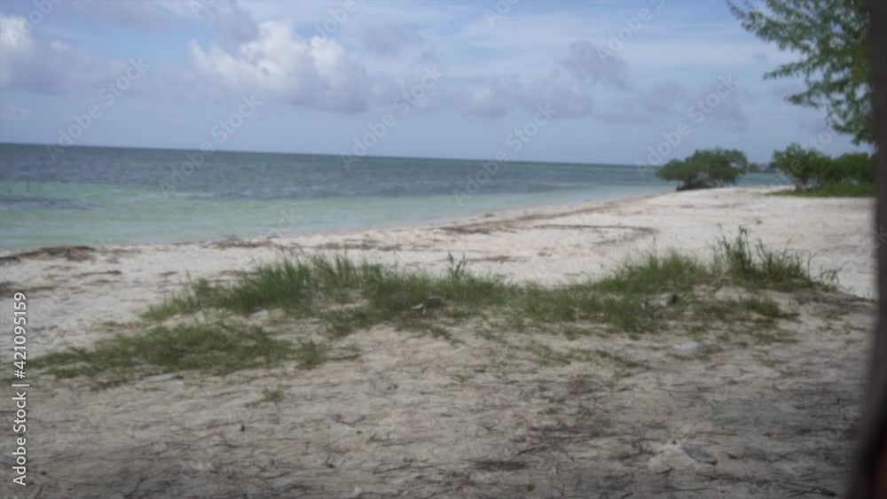 Camera shot from the trees to the seashore. Camera shot from the trees to the seashore.