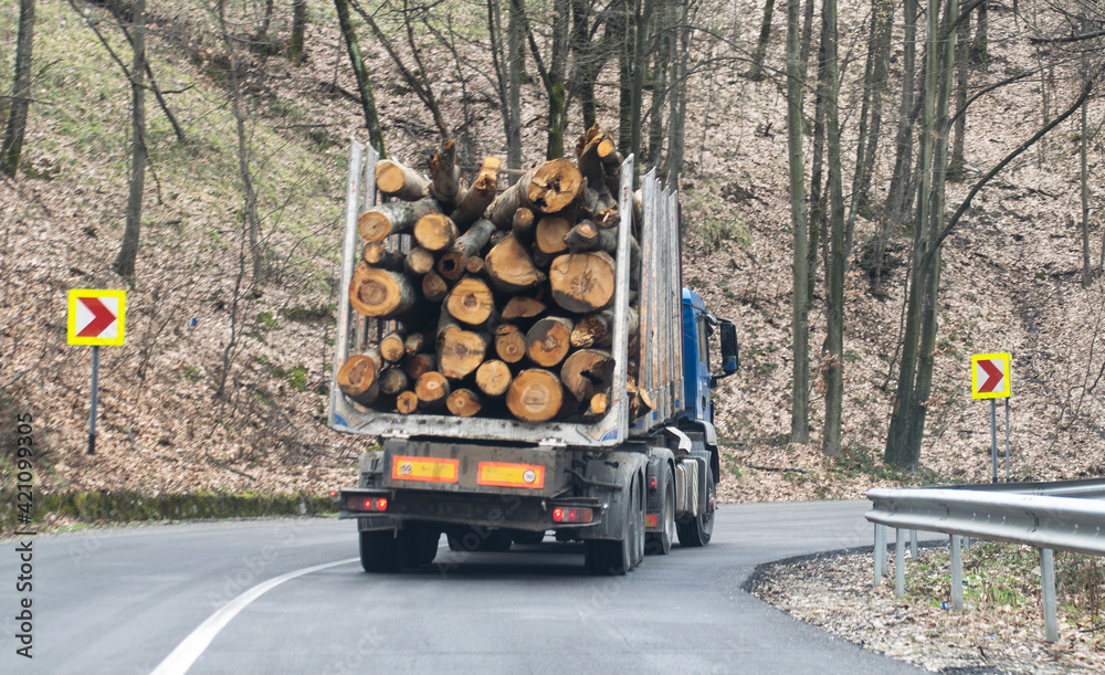 Industrial truck transporting wood. Deforestation, timber transport - concept.