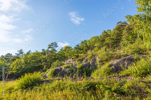 Gorgeous view of blue sky over tops of and trees. Gorgeous natural backgrounds. Sweden.