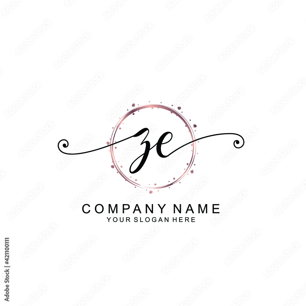 ZE beautiful Initial handwriting logo template ZE beautiful Initial handwriting logo template