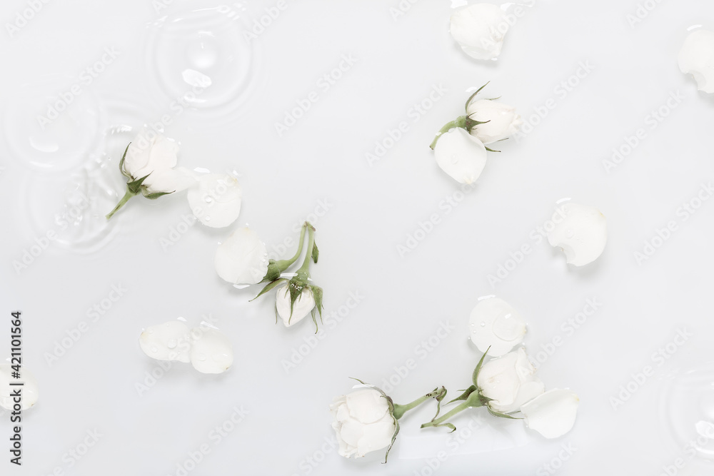 Fototapeta premium Modern floral backgrounds, white water background with drops