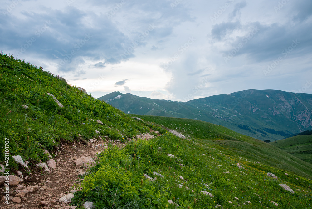 Fototapeta premium summer landscape on a cloudy day in the mountains with a trail. Russia, Adygea