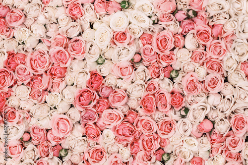 Floral visual of live flowers wall background
