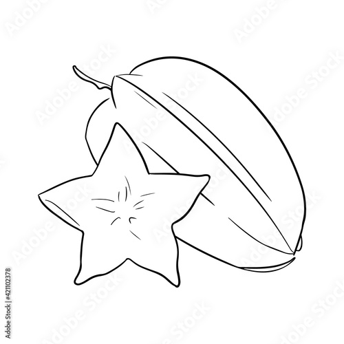 Carambola fruits in hand drawn style on white background. For banners, posters, and fruit sales