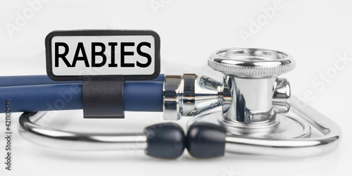 On the white surface lies a stethoscope with a plate with the inscription - RABIES
