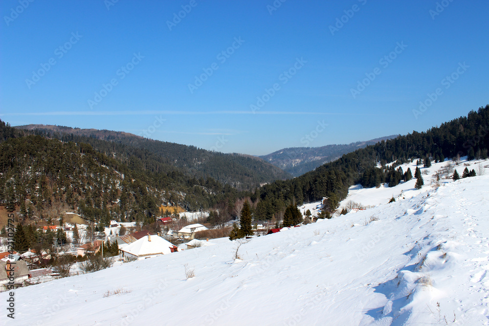 Winter country with snowy downhill