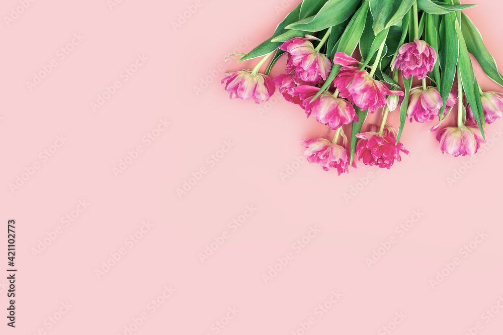 Fototapeta premium Modern floral backgrounds, flowers styling flat lay