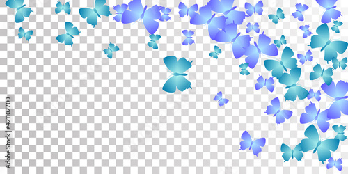 Fairy blue butterflies cartoon vector wallpaper. Spring cute insects. Detailed butterflies cartoon kids illustration. Sensitive wings moths graphic design. Fragile beings.