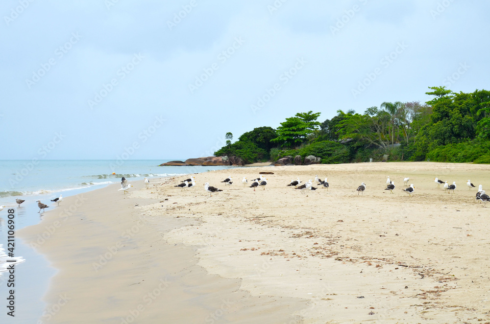 beautiful Jurere beach in Florianopolis, Santa Catarina, Brazil