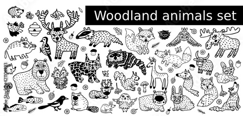 Big set with cute woodland animal: bear, fox, hare, wolf, elk, deer, beaver, raccoon, badger, squirrel, boar. Black doodle with forest birds: magpie, woodpecker, owl. Wildlife for cartoon design icons