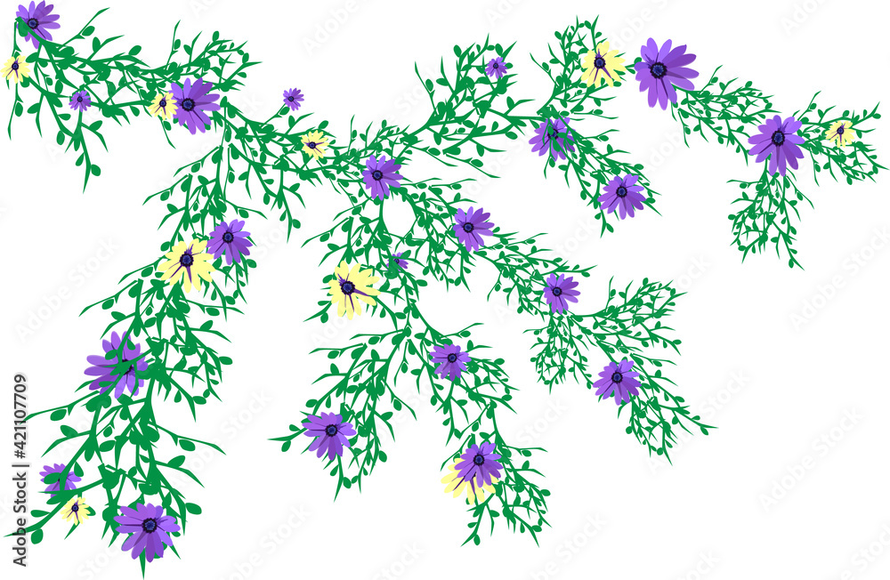 Fototapeta premium flowers on white,tree branch,flowers,