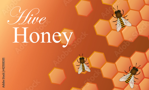 bee and honey